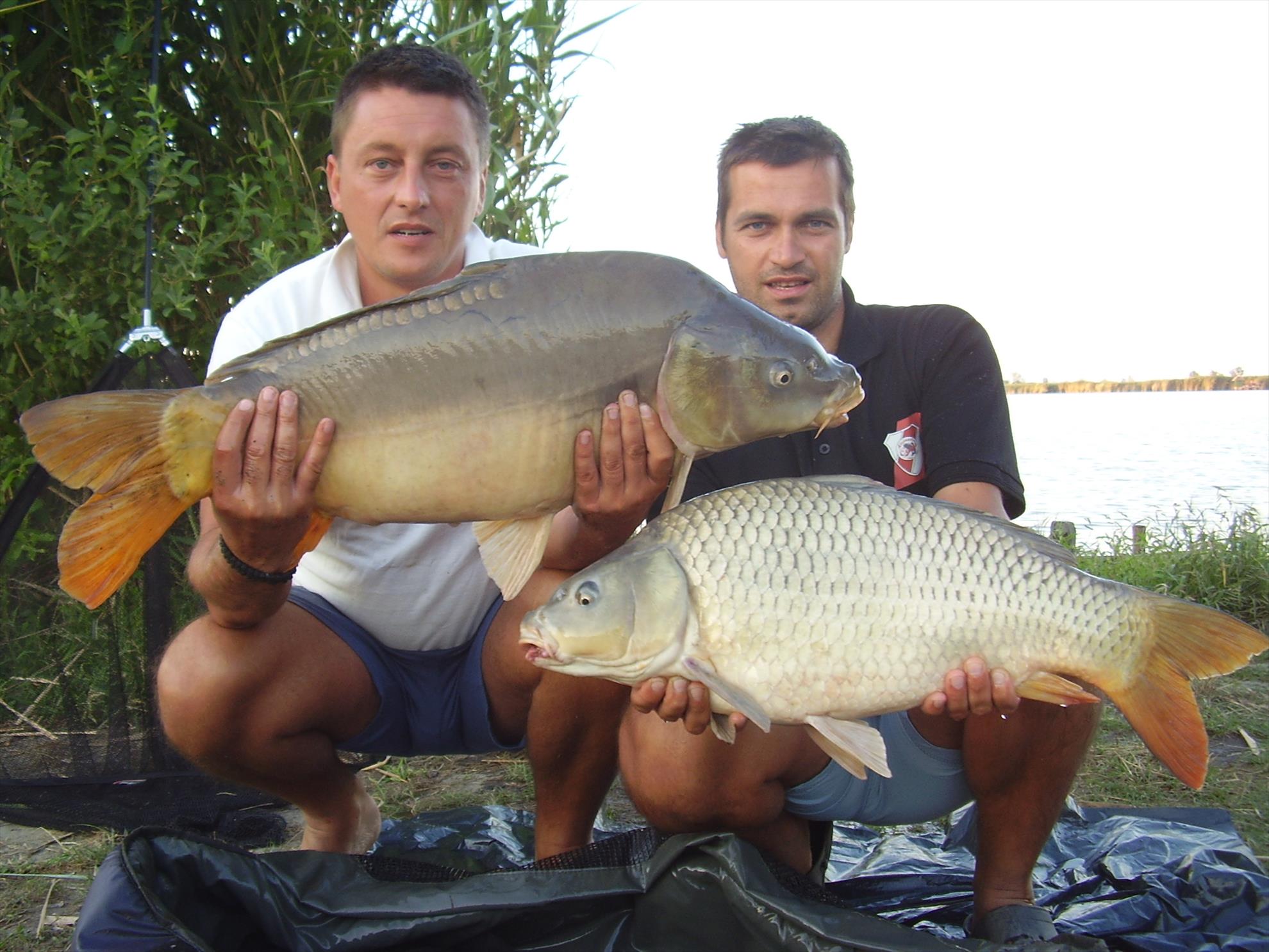 Alejandro Carp Team - Ohat Ungaria 2013